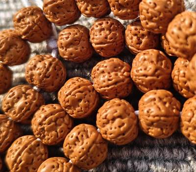 精品梅花桩五瓣小金刚菩提 精品梅花桩五瓣小金刚菩提