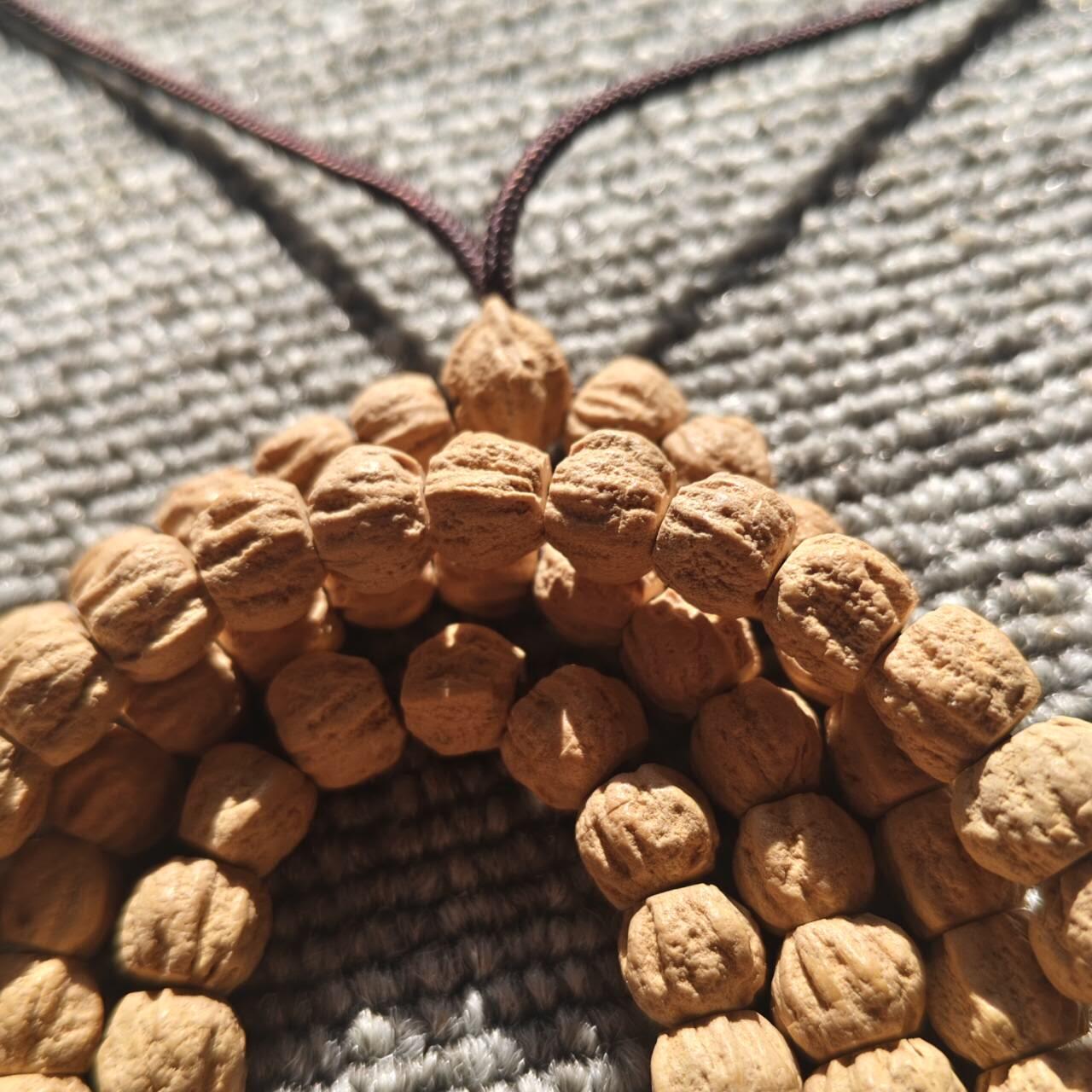 西藏热振寺百香籽