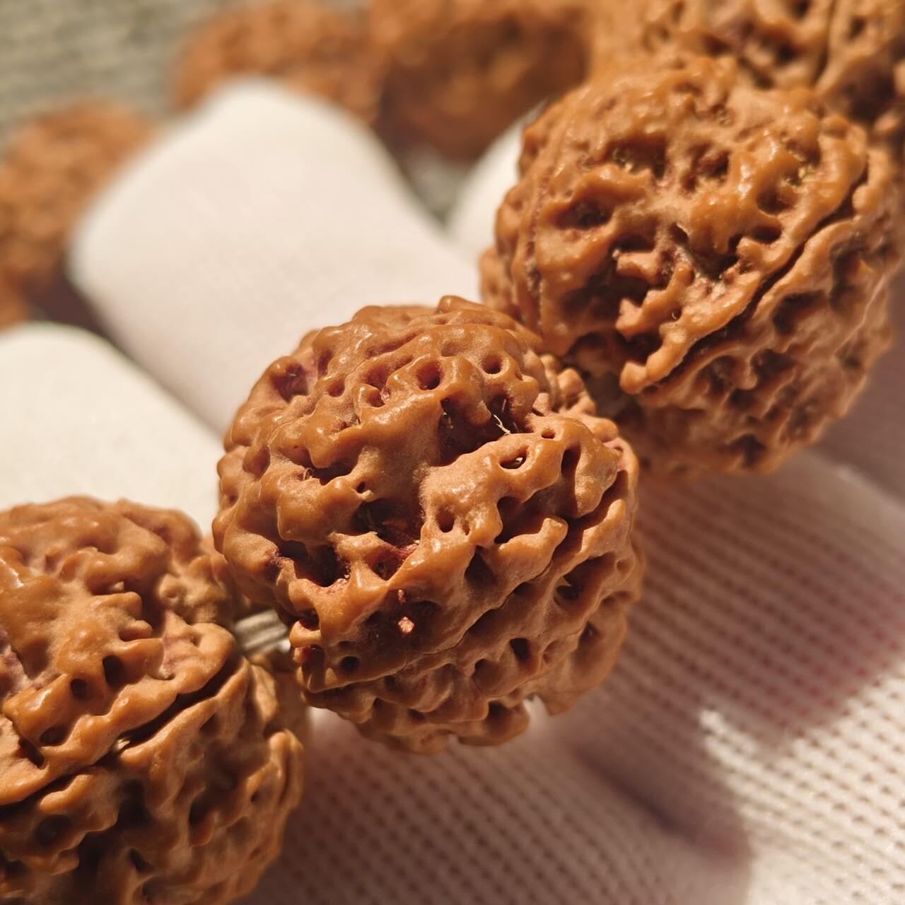 尼泊尔五瓣铁籽蜂窝大金刚