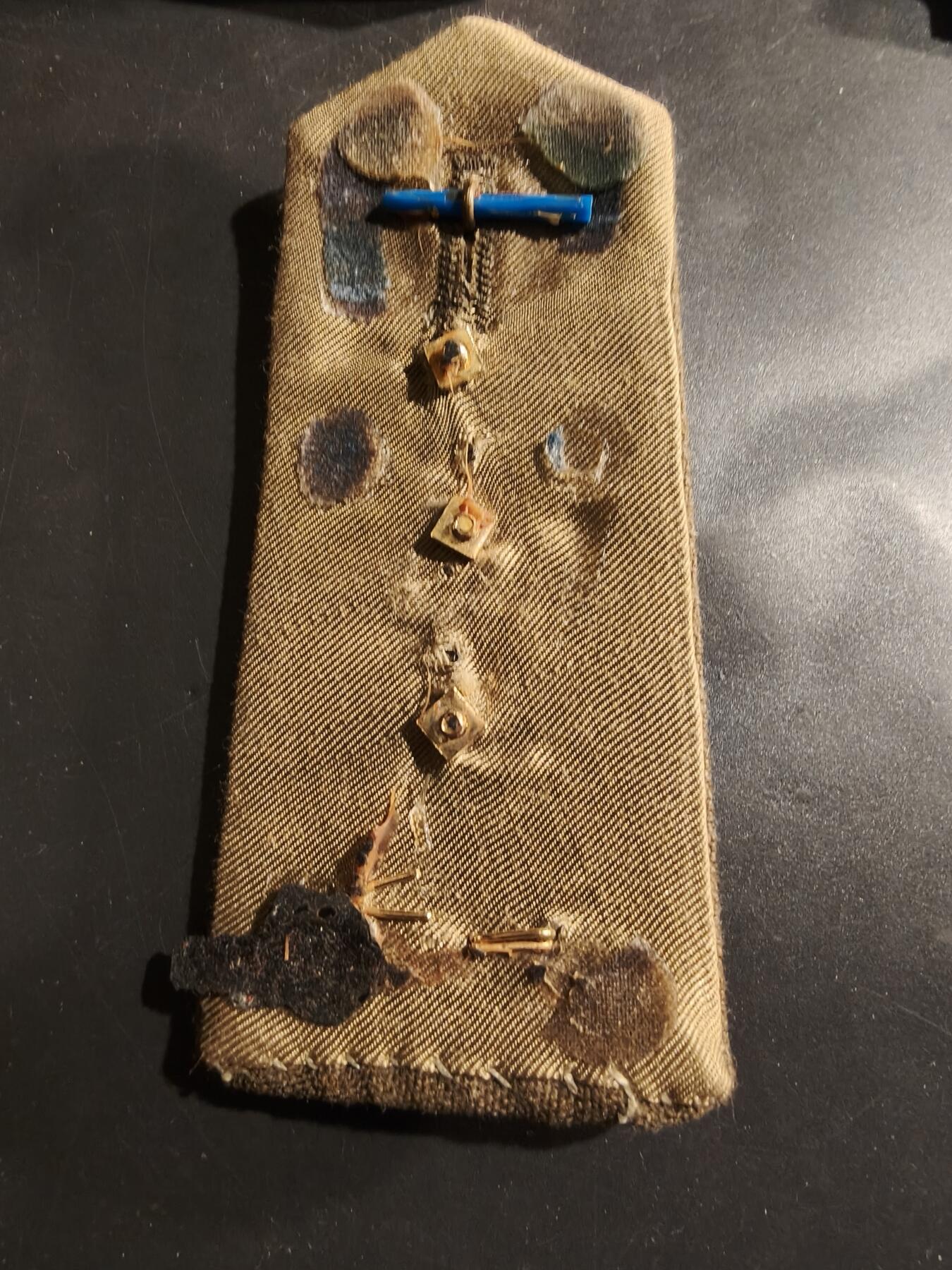 老王徽章第184期