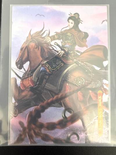 NO.25 好又多金牌大场，新年专场（上）一马当先，大吉大利！每周一站式配齐，方便凑单！（周5晚9点截拍，卖家送拍0抽成！） - 大圣卡通 新新水浒2 一丈青扈三娘 粗闪