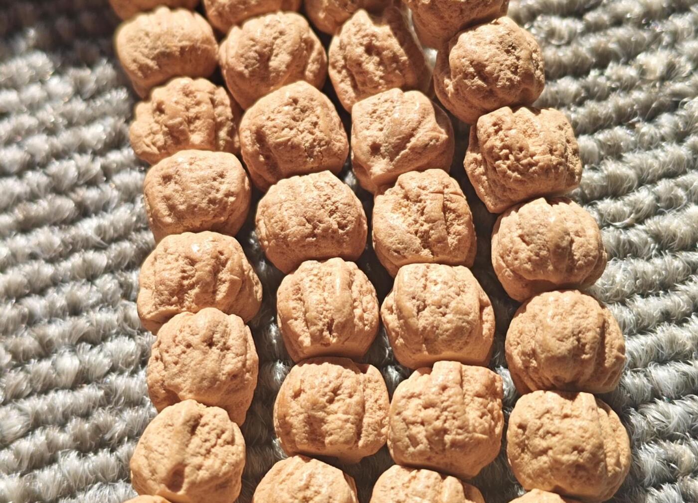 西藏热振寺百香籽