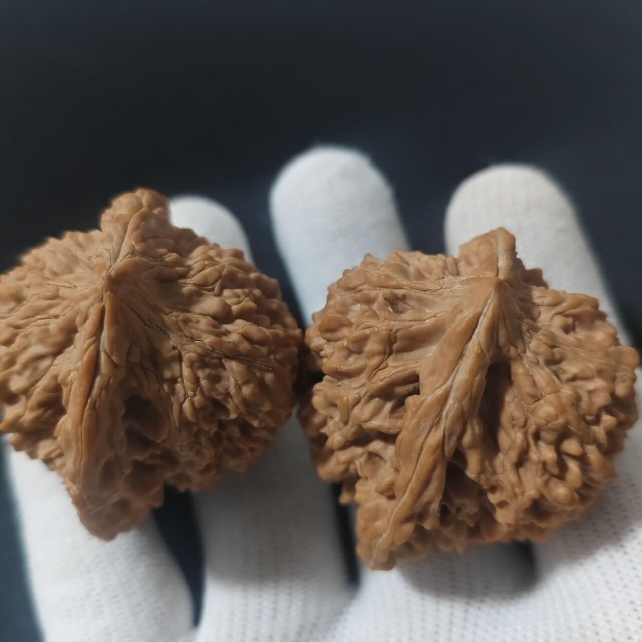 满天星核桃一对