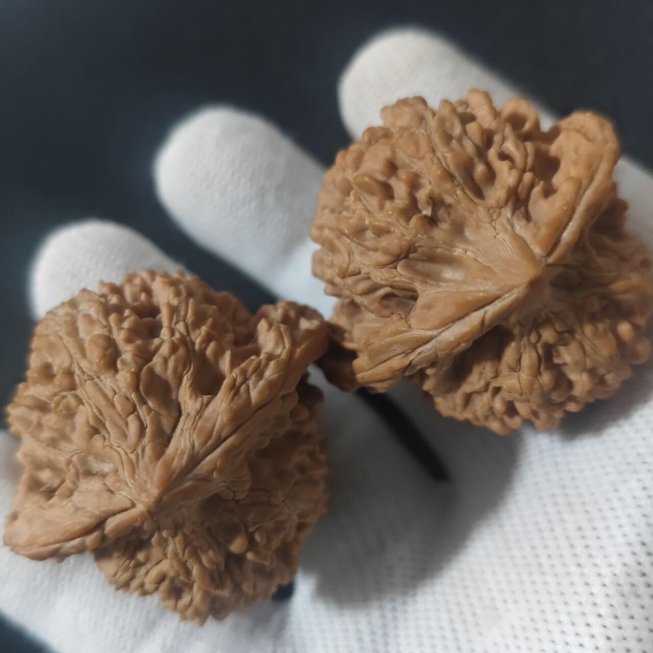 满天星核桃一对