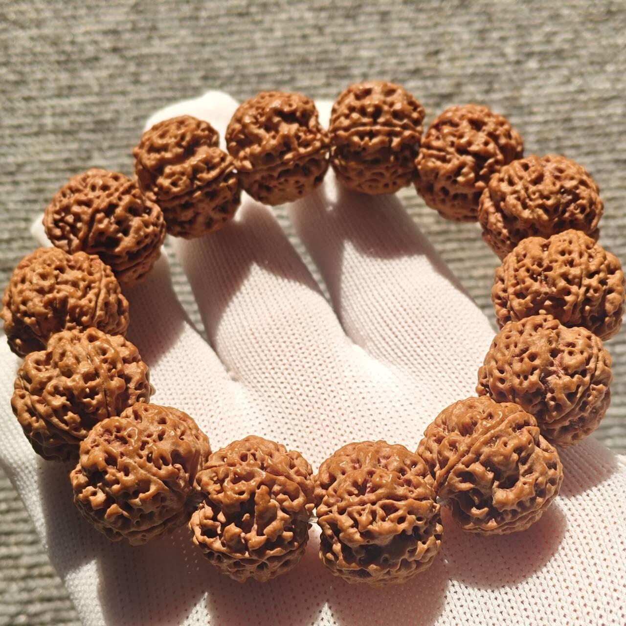 尼泊尔五瓣铁籽蜂窝大金刚