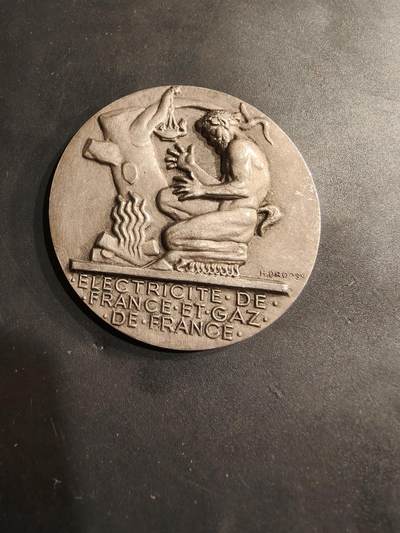 老王徽章第184期 - 法国电气公司镀银大铜章    大师Dropsy作品    直径54mm    重量71.1g