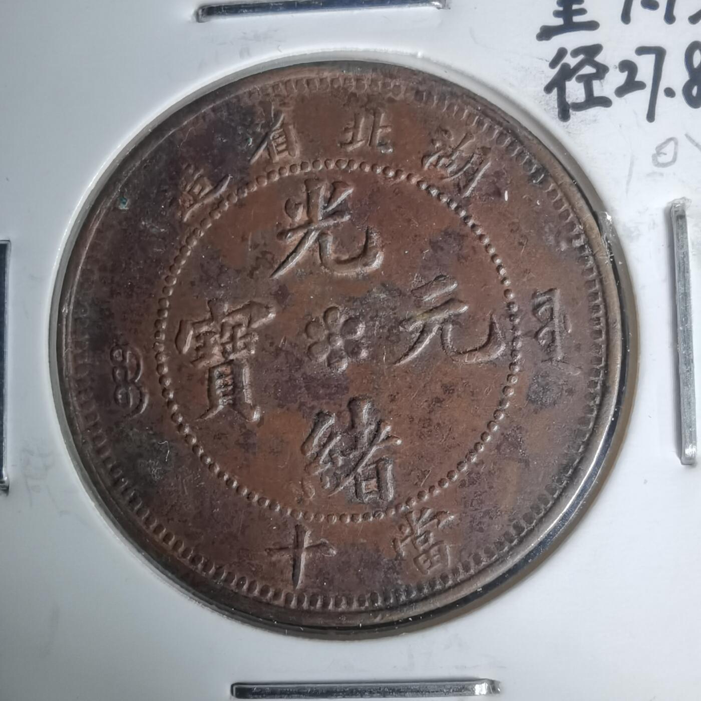 沼泽如烟--第1002场 湖北六瓣花