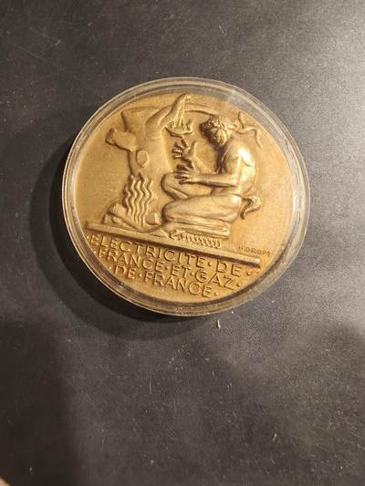 老王徽章第184期 - 法国电气公司镀金大铜章    原盒   大师Dropsy作品    直径54mm    重量73.7g
