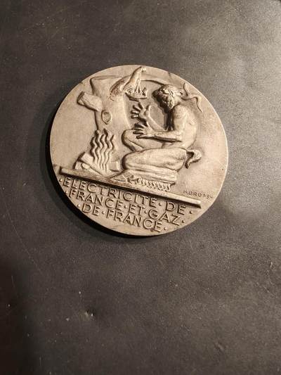 老王徽章第184期 - 法国电气公司镀银大铜章    大师Dropsy作品    直径54mm    重量70.7g