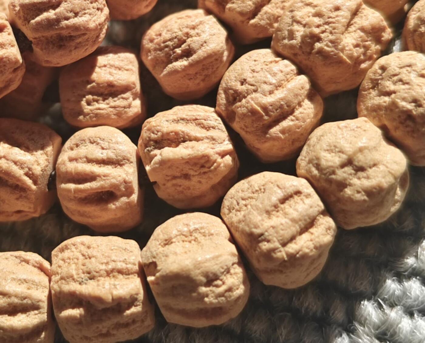 西藏热振寺百香籽