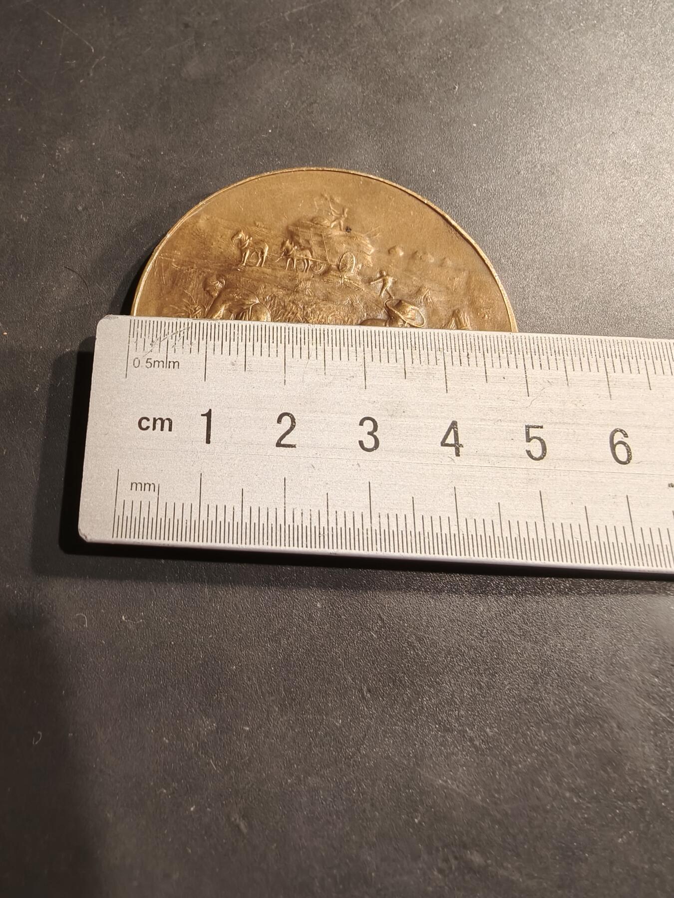 老王徽章第184期 法国农业协会大铜章    直径50mm    重量57.3g