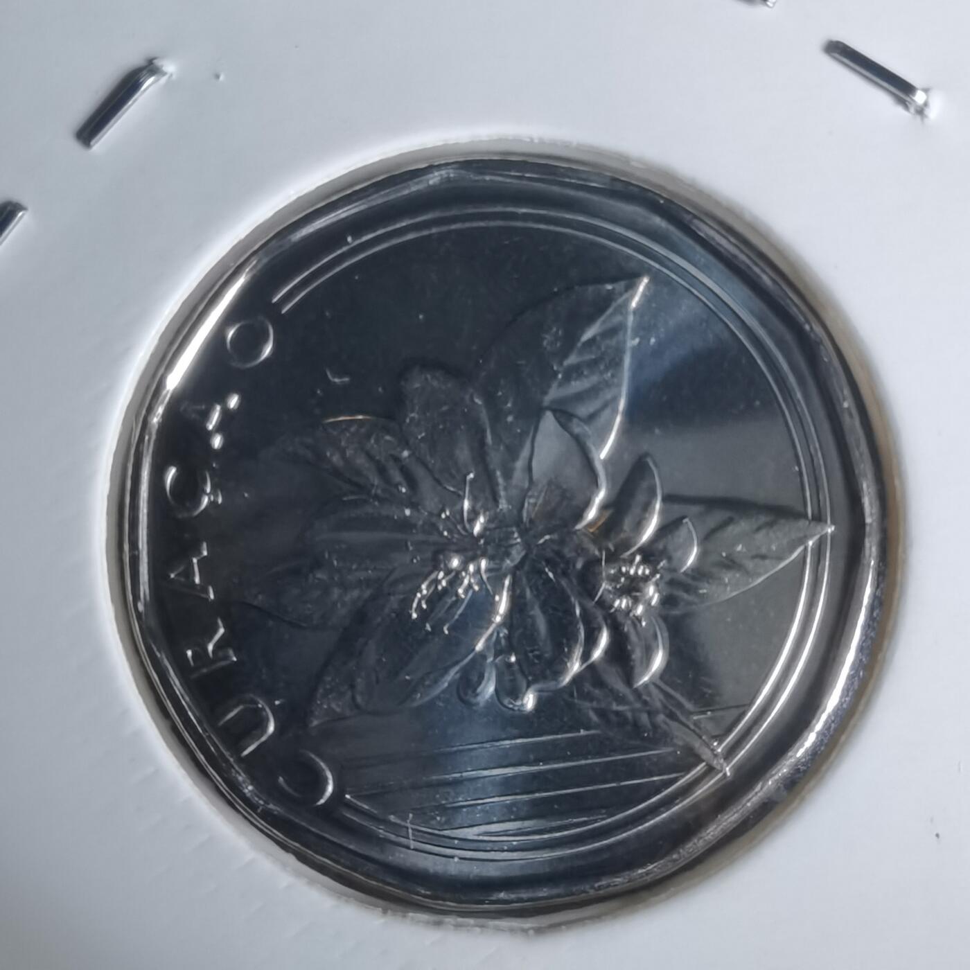 沼泽如烟--第1002场 荷属