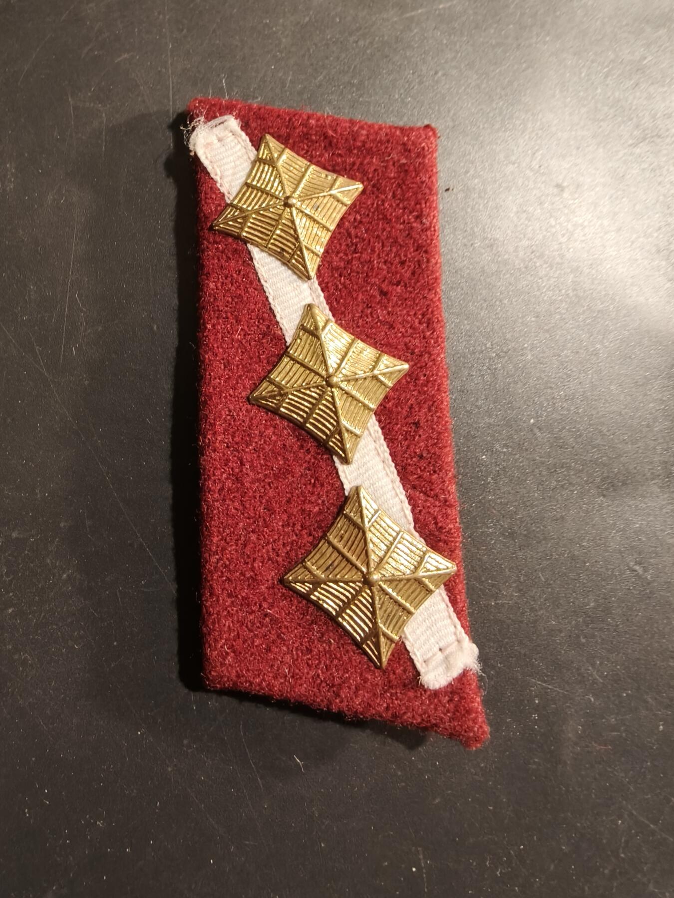 老王徽章第184期 拉脱维亚陆军中将领章