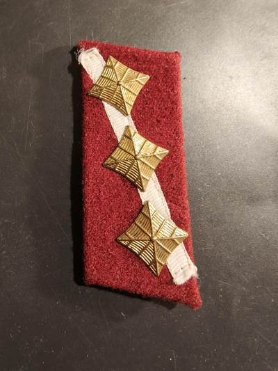 老王徽章第184期 - 拉脱维亚陆军中将领章