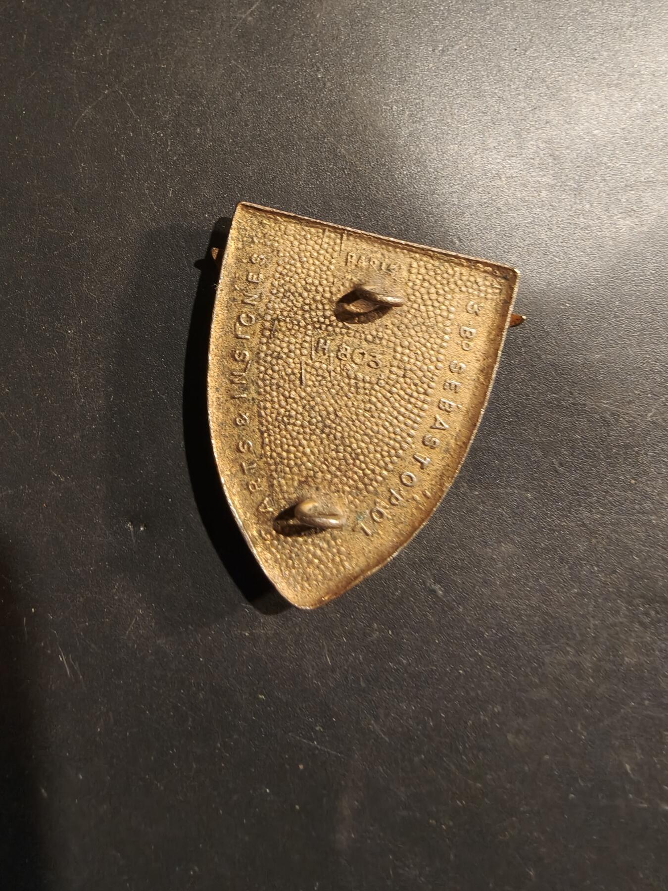 老王徽章第184期 驻德法军证章