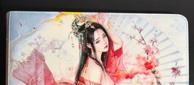 NO.25.5 好又多妹卡大赏，新店点关注不迷路！每周一站式配齐，方便凑单！（周6晚9点截拍，卖家送拍0抽成！） - 【卡册】焱卡 人间传12宫卡册 全新