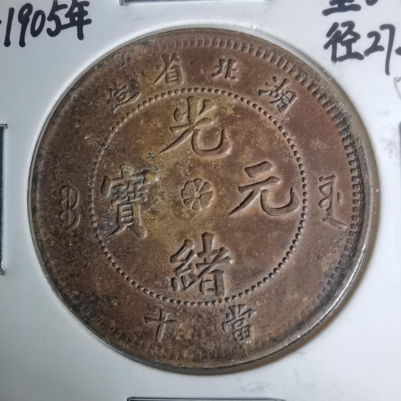 沼泽如烟--第1002场 湖北八瓣花