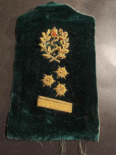 老王徽章第184期 - 军医肩章单枚