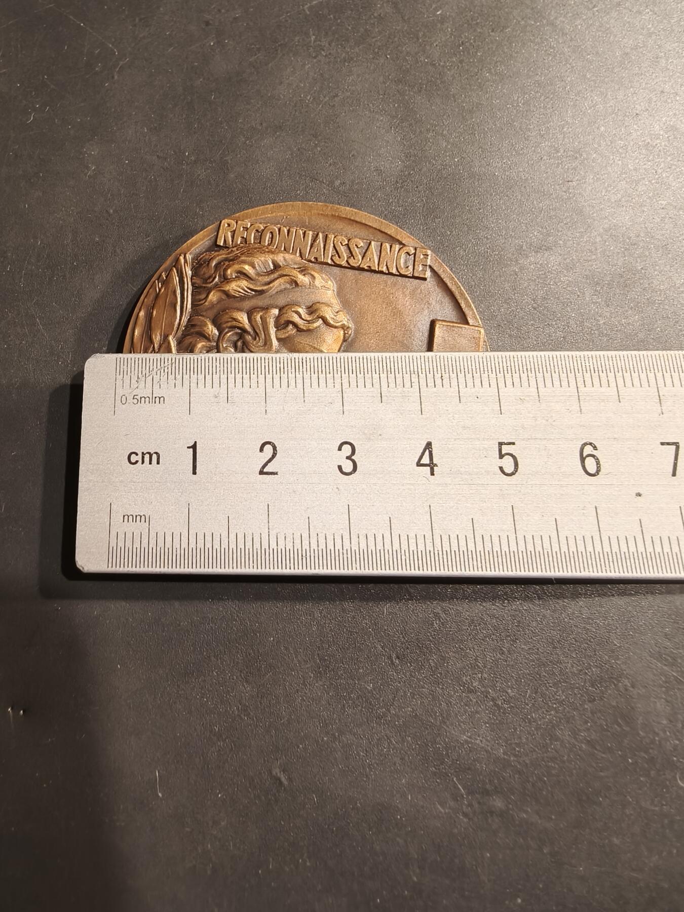 老王徽章第184期 法国无偿献血大铜章    直径50mm    重量52.7g