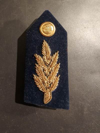 老王徽章第184期 - 肩章单枚