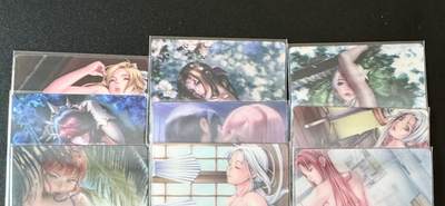 NO.25.5 好又多妹卡大赏，新店点关注不迷路！每周一站式配齐，方便凑单！（周6晚9点截拍，卖家送拍0抽成！） - 光栅艺术卡 ACG美女04 1套9张