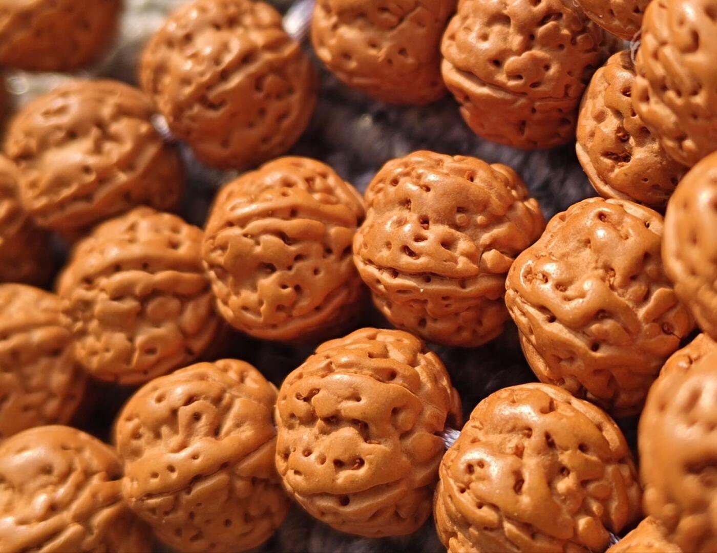 精品梅花桩五瓣小金刚菩提