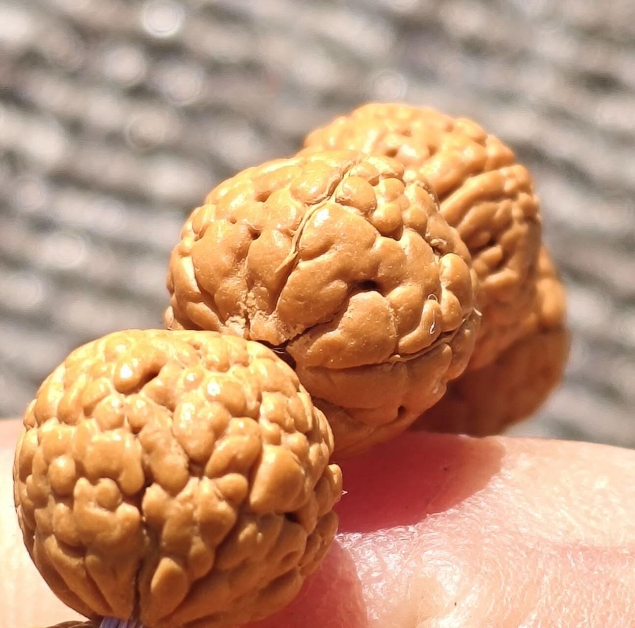 龙鳞纹五瓣小金刚