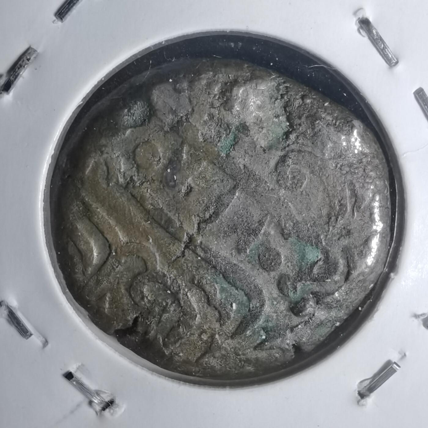 沼泽如烟--第1002场 不认识自辨