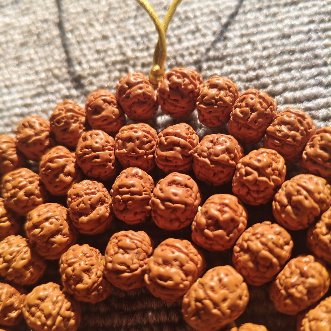 树王五瓣双龙矮桩小金刚