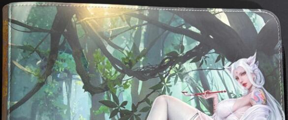 NO.25.5 好又多妹卡大赏，新店点关注不迷路！每周一站式配齐，方便凑单！（周6晚9点截拍，卖家送拍0抽成！）