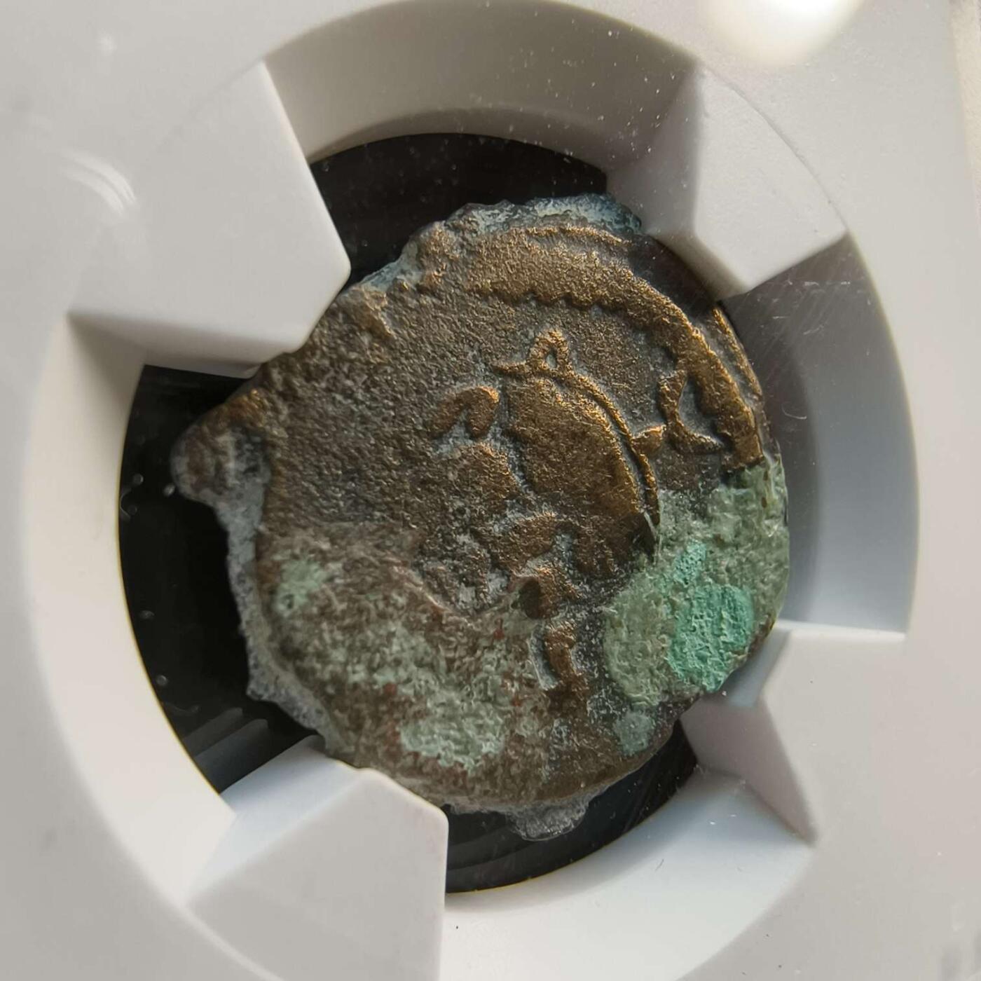 七河·世界世界币章杂件矿标化石小拍（总第38期）