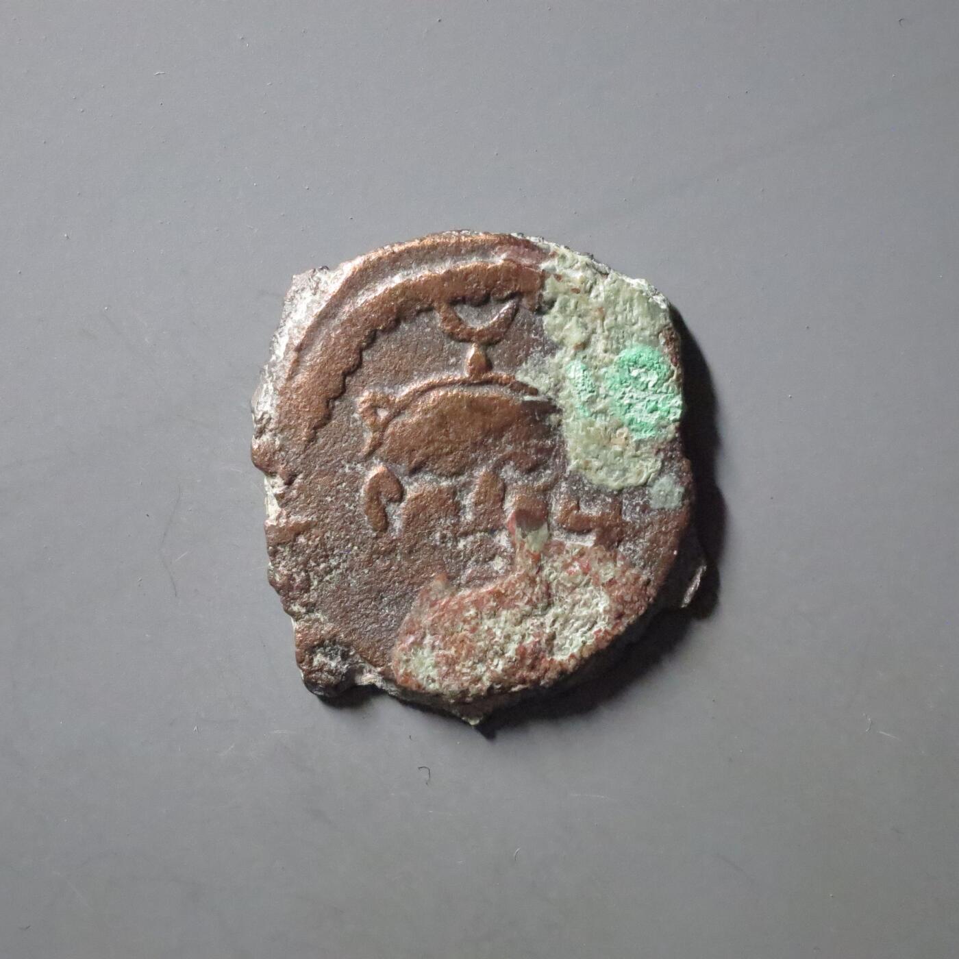 七河·世界世界币章杂件矿标化石小拍（总第38期）