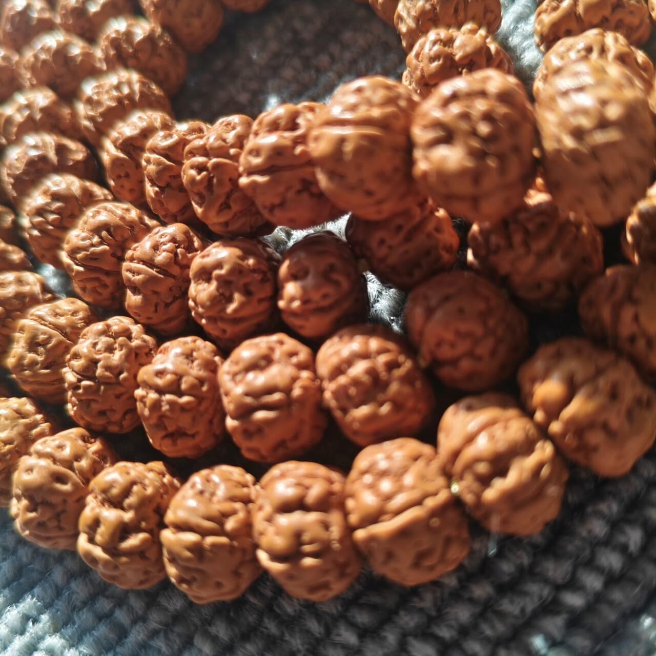 树王五瓣双龙矮桩小金刚