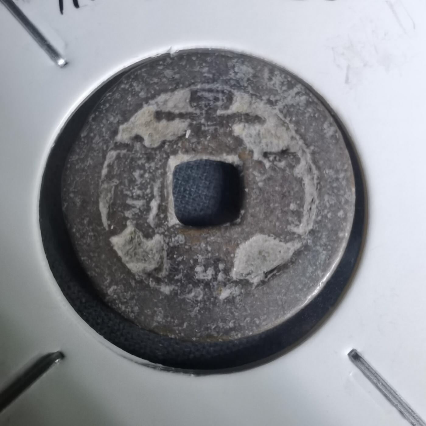 沼泽如烟--第1002场 景兴通宝