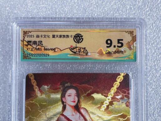 NO.25.5 好又多妹卡大赏，新店点关注不迷路！每周一站式配齐，方便凑单！（周6晚9点截拍，卖家送拍0抽成！） 【81/100编】炎卡 夏天家族族卡 刷子 贾南风 粗闪 9.5G
