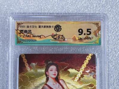 NO.25.5 好又多妹卡大赏，新店点关注不迷路！每周一站式配齐，方便凑单！（周6晚9点截拍，卖家送拍0抽成！） - 【81/100编】炎卡 夏天家族族卡 刷子 贾南风 粗闪 9.5G