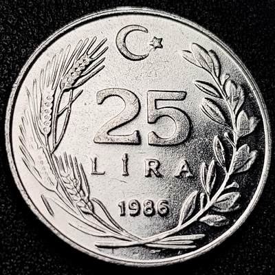 泉币菌-第199场- 新年快乐 新年第7场 本场拍品多 请提前出价（正月十五统一发货） - 原光美品 土耳其25里拉铝制币 凯末尔总统 27.5毫米 铜钱纪念币