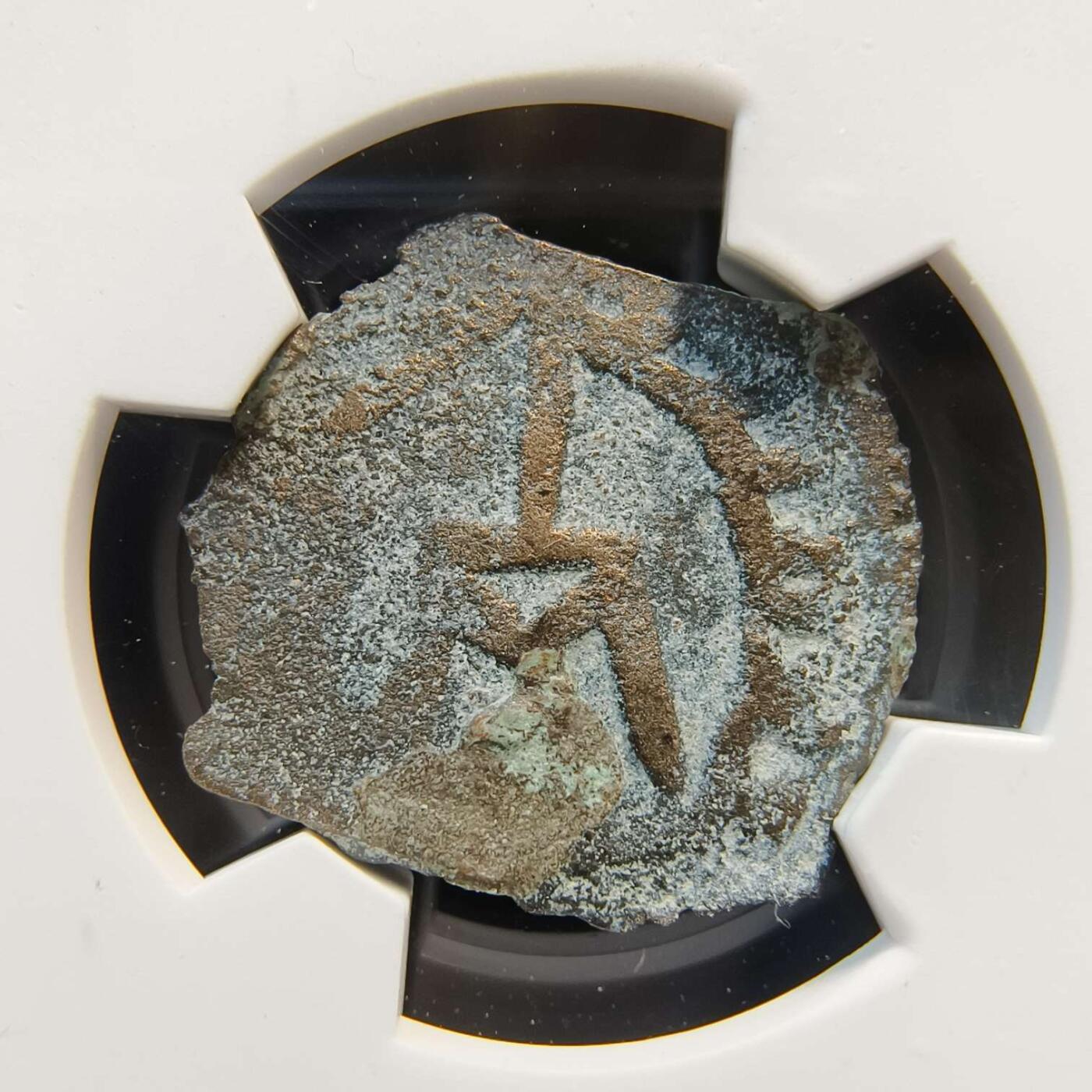 七河·世界世界币章杂件矿标化石小拍（总第38期）