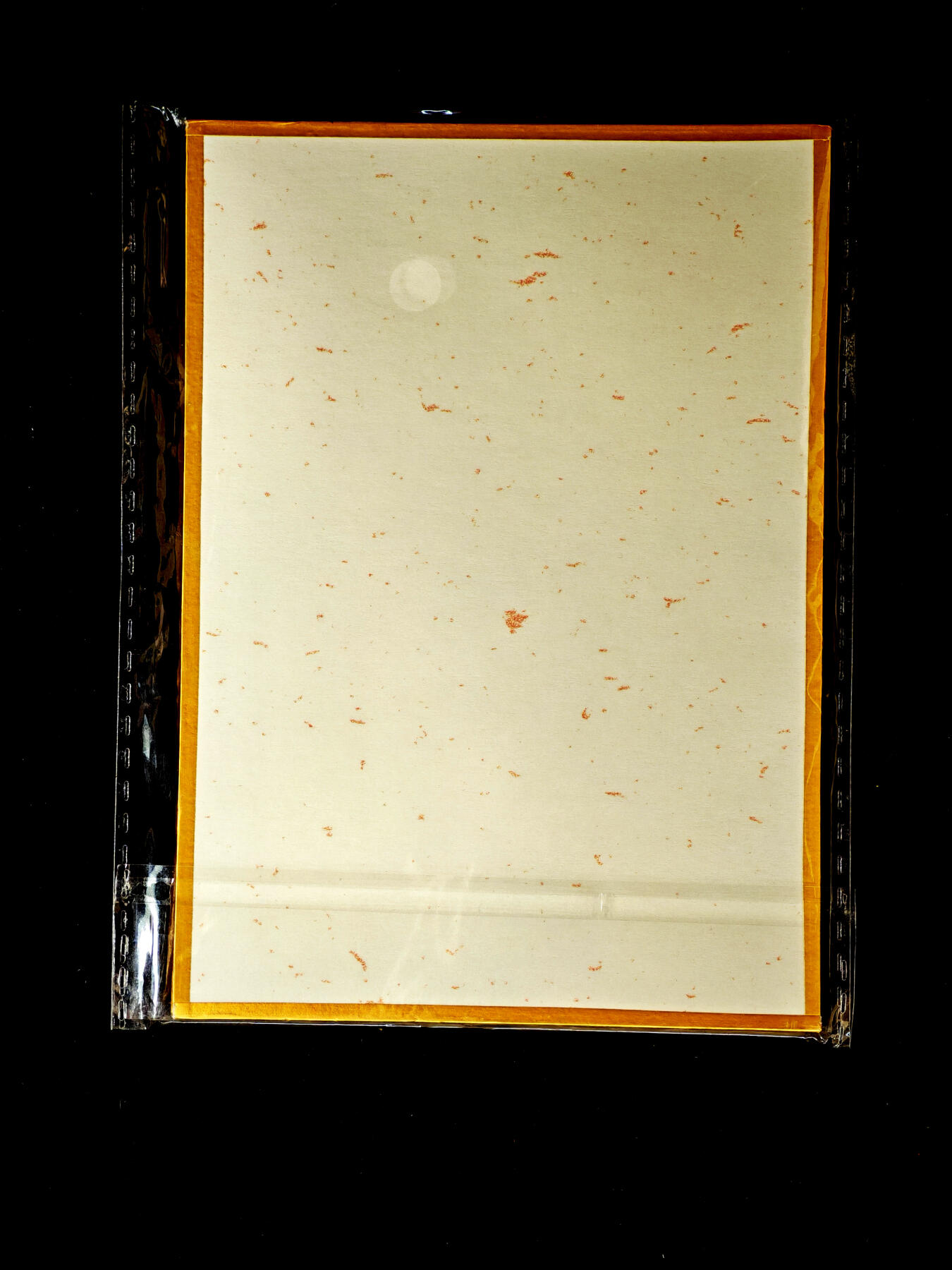 琦卡当当铺～第34期★★新年快乐~各种类型亲签A4都有~支持寄存★★~【9点40结束】扫码加群抽[包邮券]~