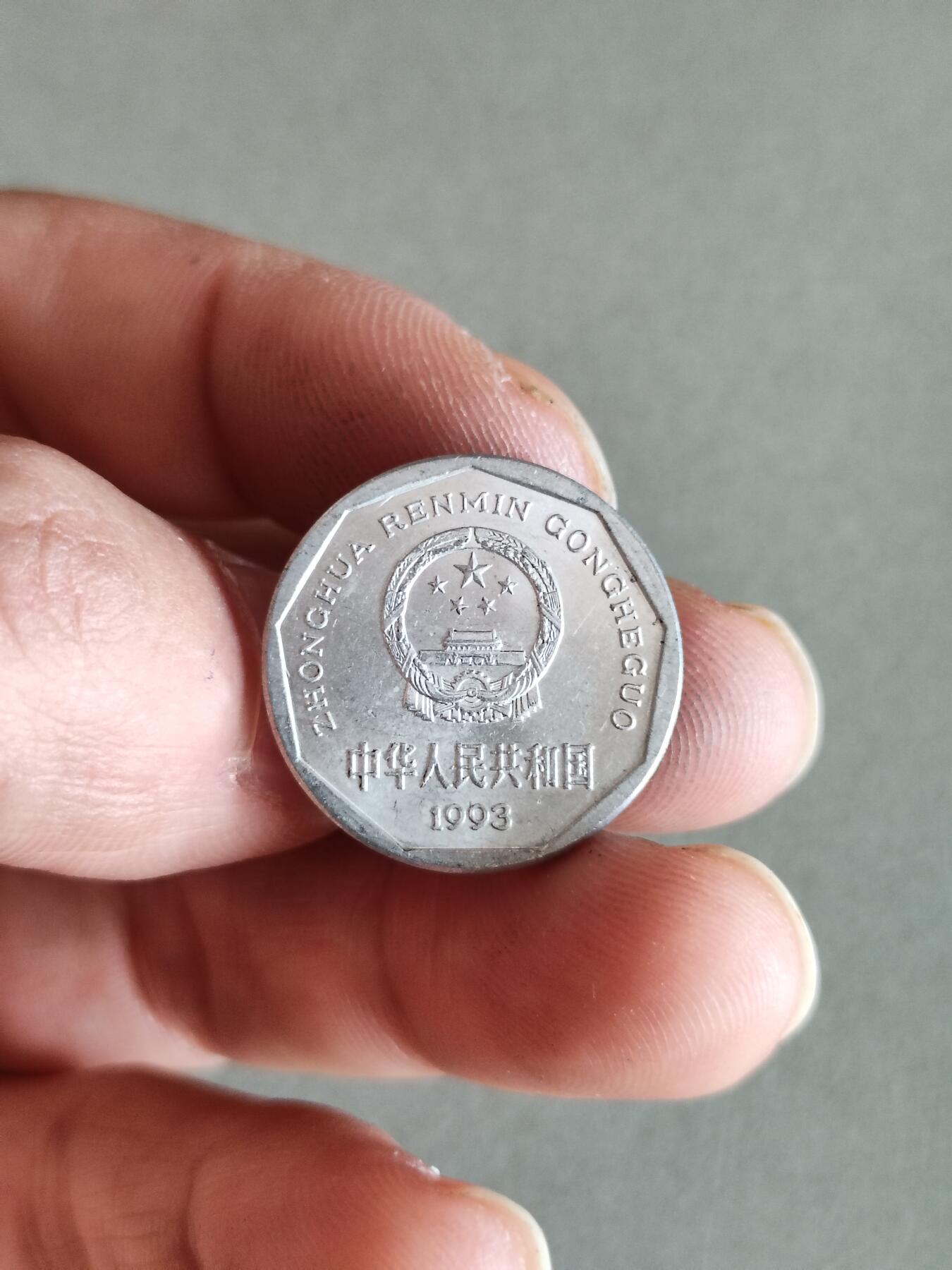 裸币 49:1993年菊花一角