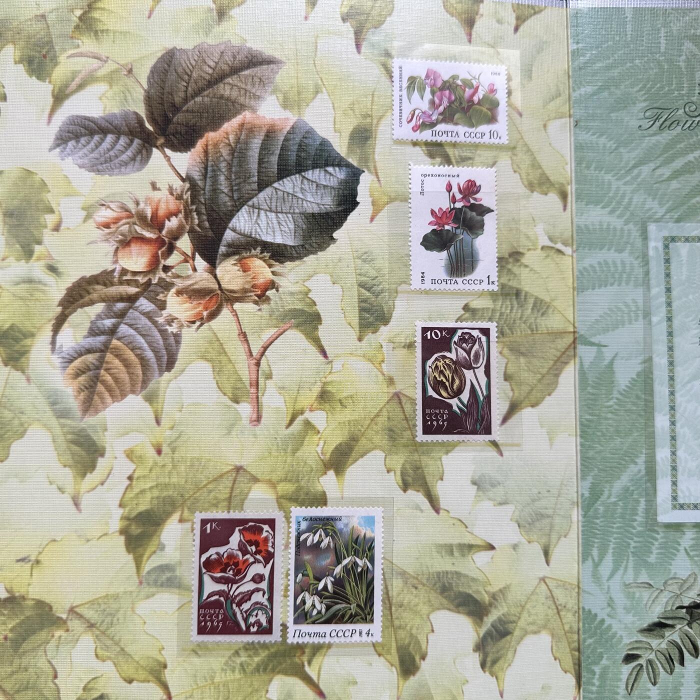 🌹外币初藏🌹🐯2026年第20场 正月十五正常发货 流星花语世界邮币收藏册