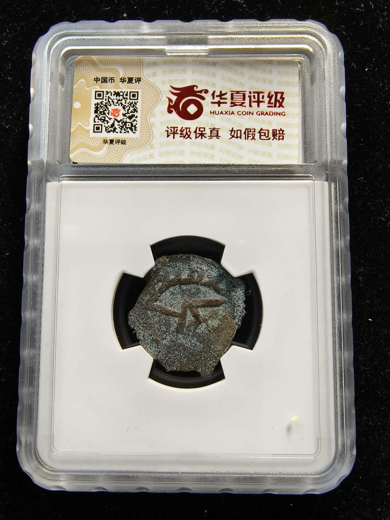 七河·世界世界币章杂件矿标化石小拍（总第38期）