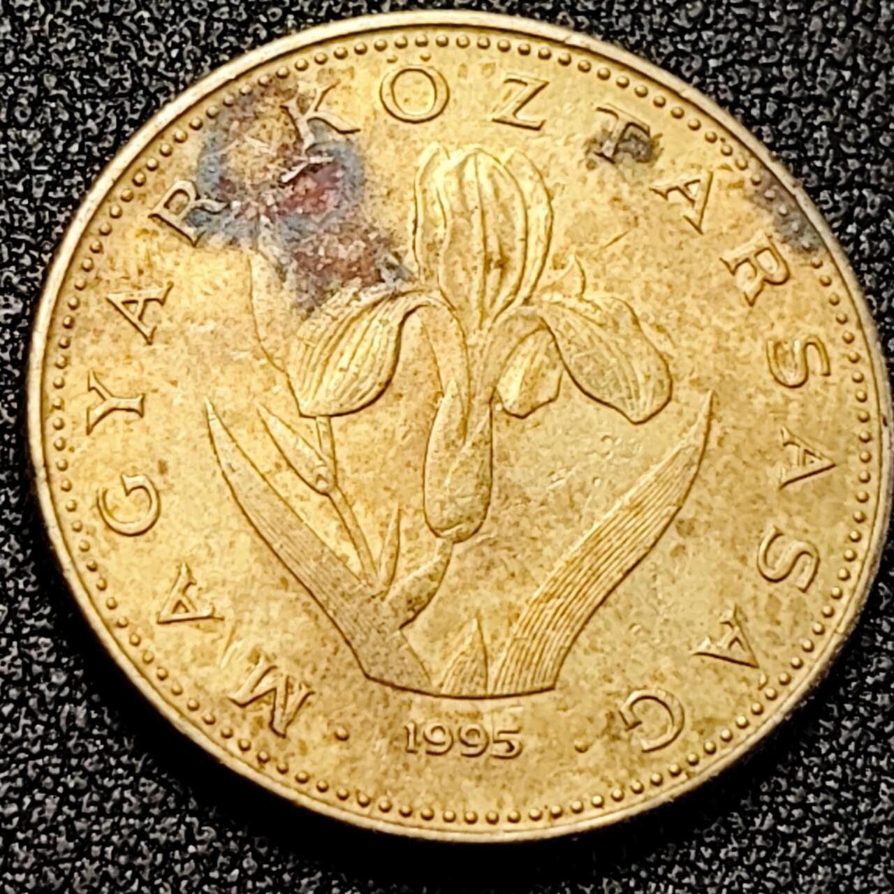 泉币菌-第198场- 新年快乐 新年第6场 本场拍品多 请提前出价 。