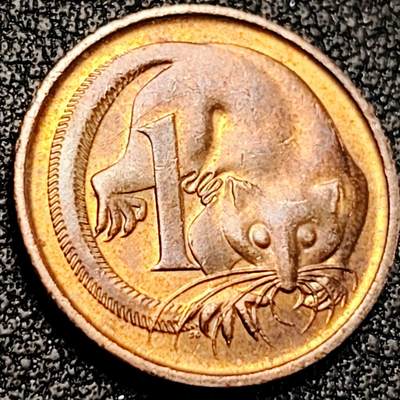 泉币菌-第198场- 新年快乐 新年第6场 本场拍品多 请提前出价（正月十五统一发货） - 1987年 澳大利亚1分铜币 鼯鼠 直径17.5mm