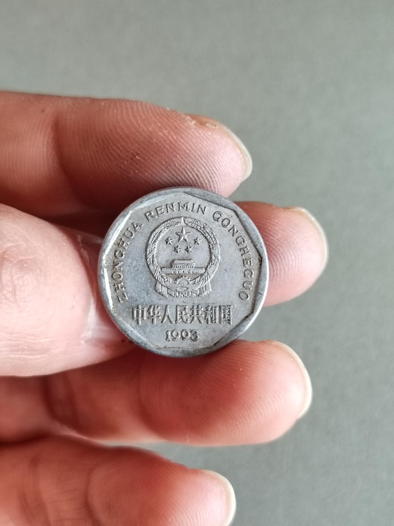 裸币 48:1993年菊花一角