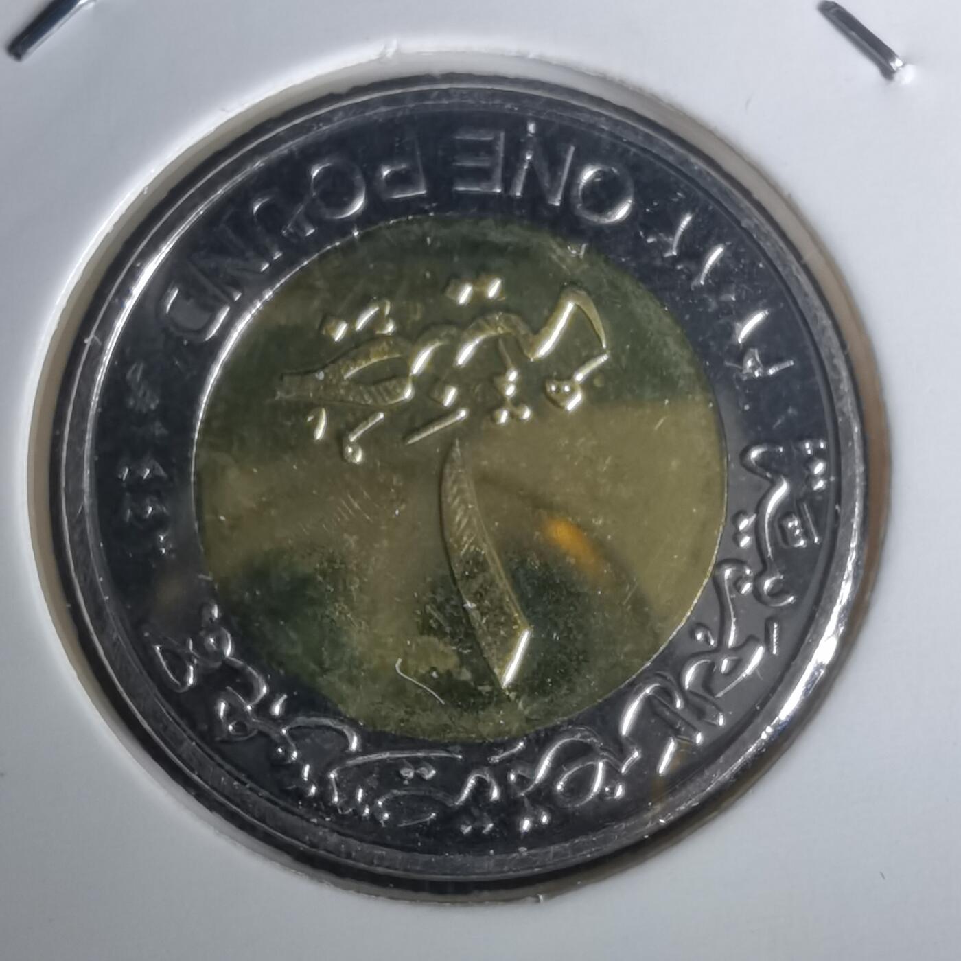 沼泽如烟--第1002场 埃及