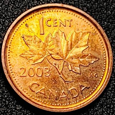 泉币菌-第198场- 新年快乐 新年第6场 本场拍品多 请提前出价（正月十五统一发货） - 原铜光极美 加拿大1分铜币 伊丽莎白二世 19mm