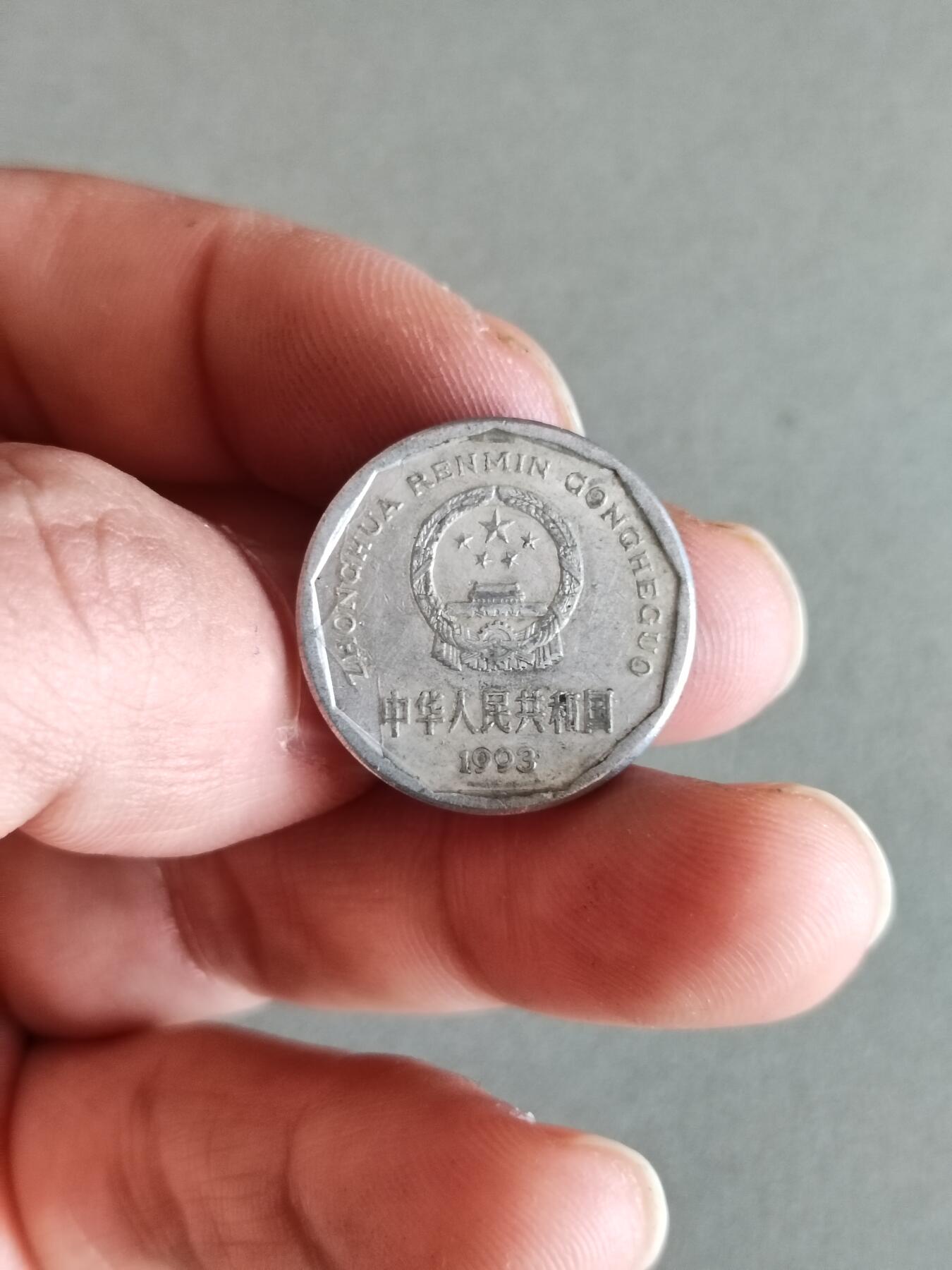 裸币 34:1993年菊花一角