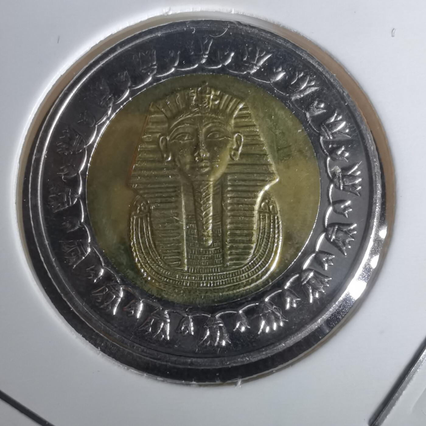 沼泽如烟--第1002场 埃及