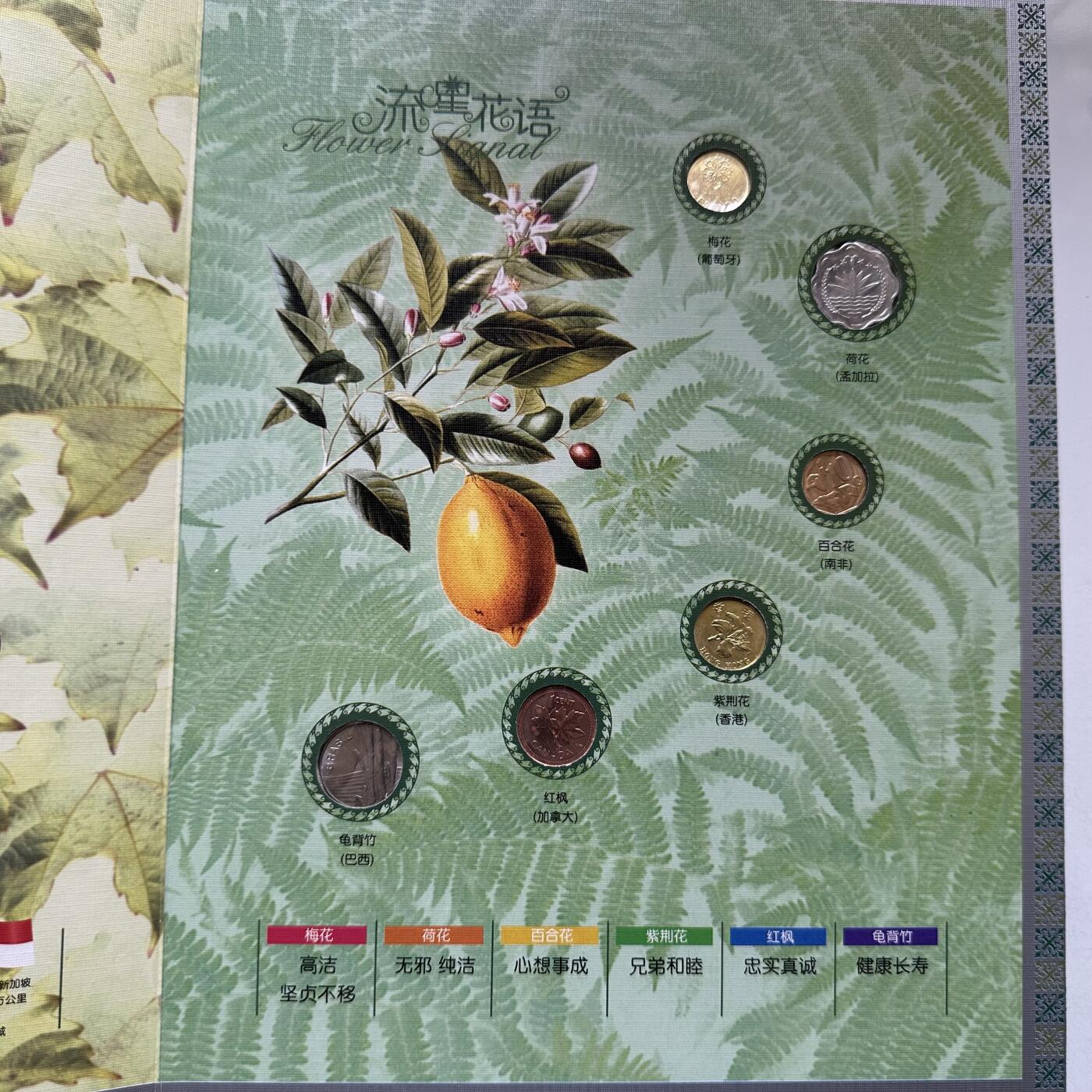 🌹外币初藏🌹🐯2026年第20场 正月十五正常发货 流星花语世界邮币收藏册